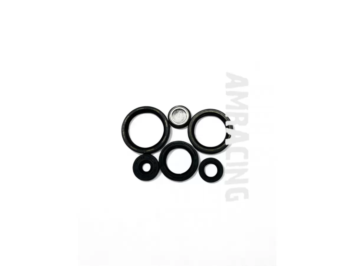 KIT PARAOLI 125 ES MY 2025