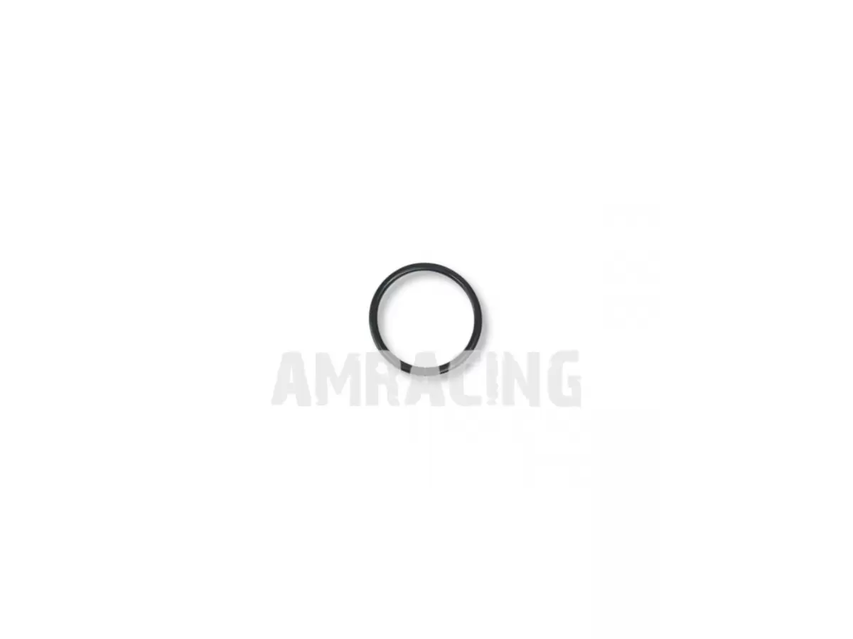 OR 20,00X2,00 ORM 0200-20 NBR 70