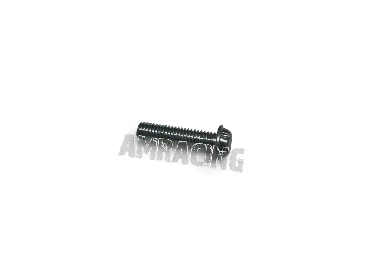 FLANGE SAFETY SCREW M6X25