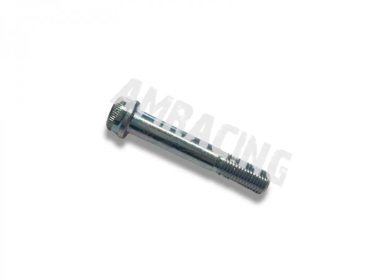 FZ TORNILLO 10X1.25X60 AT.CLAMP SM