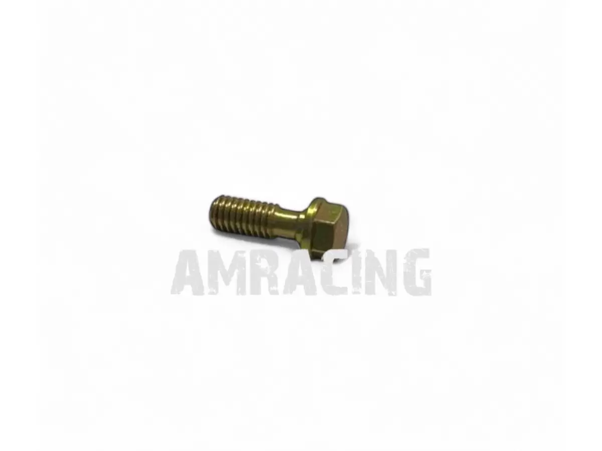 SPECIAL TE M6 SCREW MOD.04