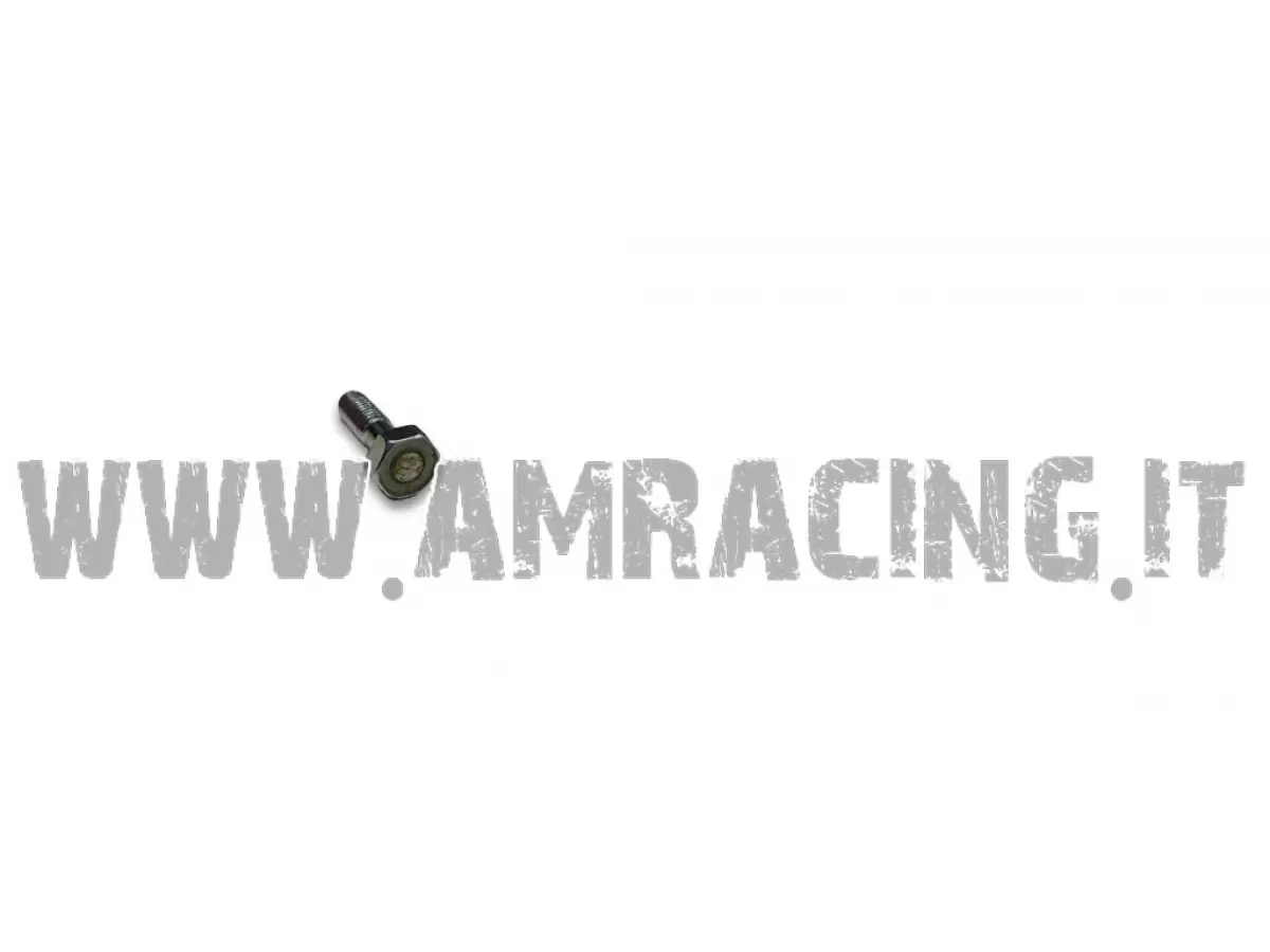 TORNILLO CABEZA HEXAGONAL MAGNETICO M6X20