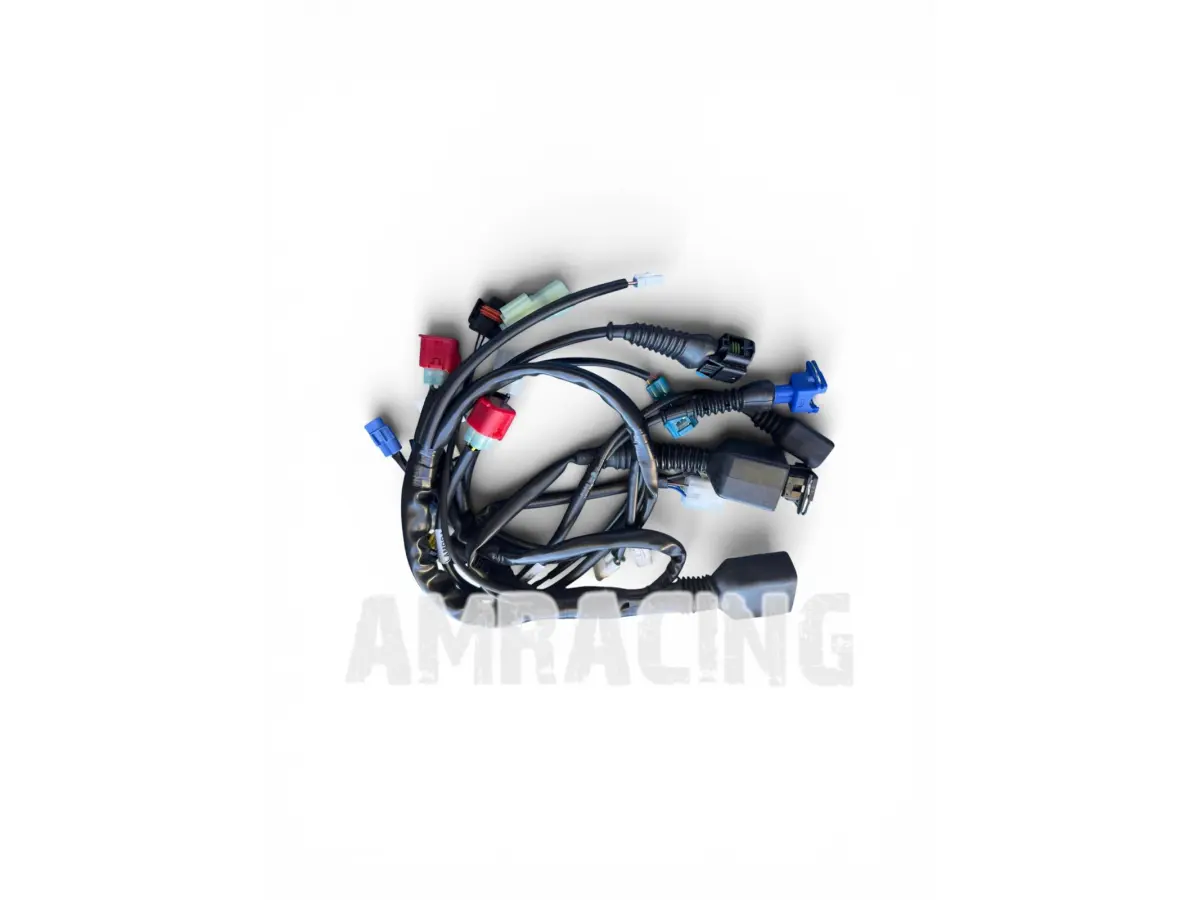 MY2022 4T 250/300/450/530 Fi MAIN WIRING HARNESS