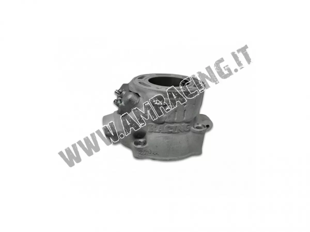 CILINDRO 250 END   02/08   CPL