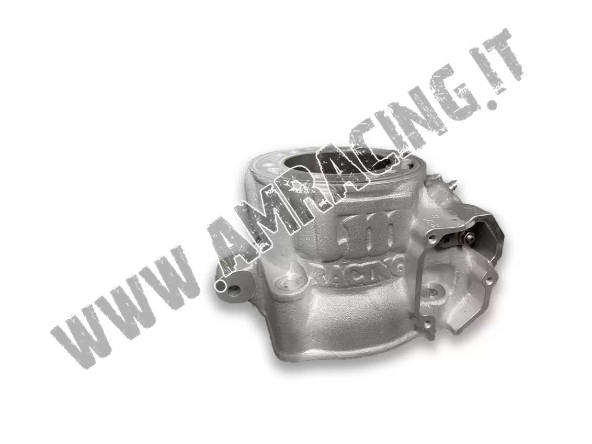 CILINDRO 300 END 01/08 CPL (SUSTITUIDO POR 01307)