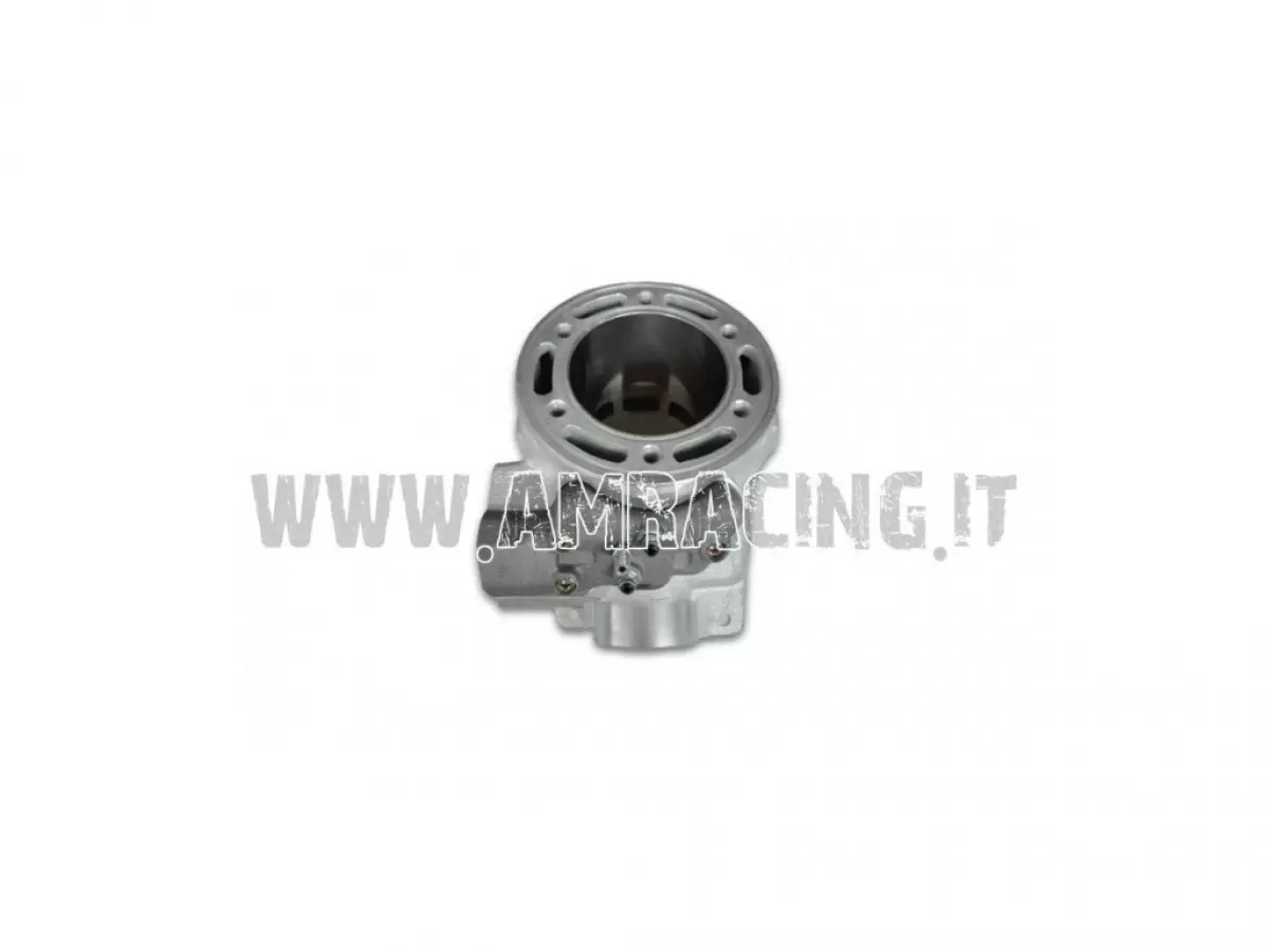 CYLINDER 300 MX/EN 09/10 CPL