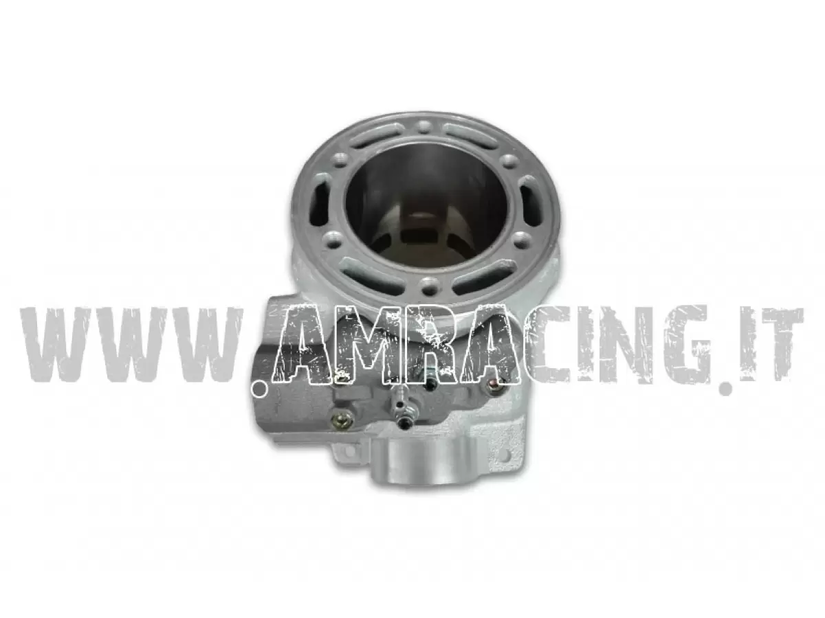 CYLINDER 300 MX/EN 09/10 CPL
