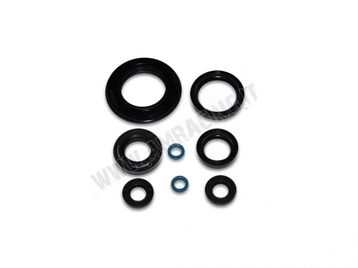 KIT DE PARAOLI 250/300  M.96/14