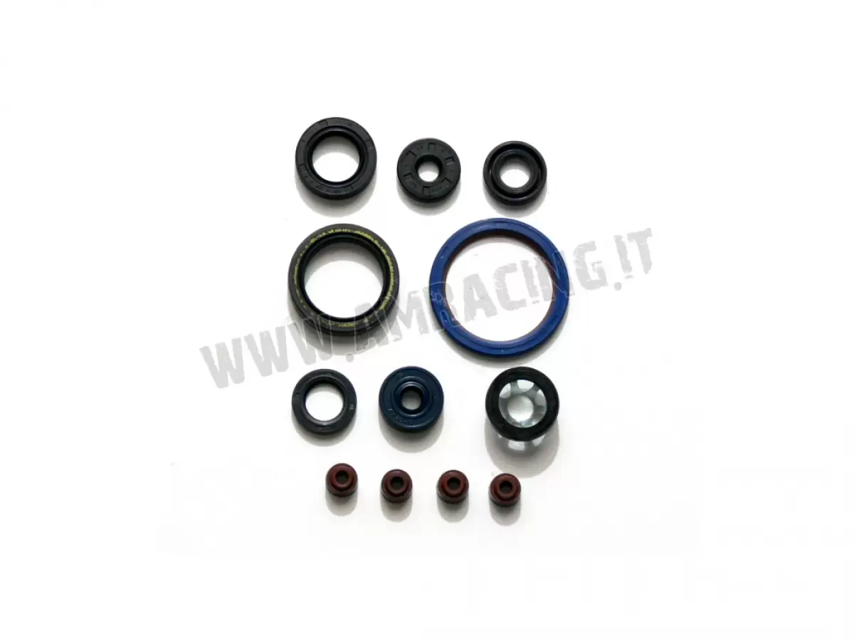 KIT PARAOLIO 4T 250Fi