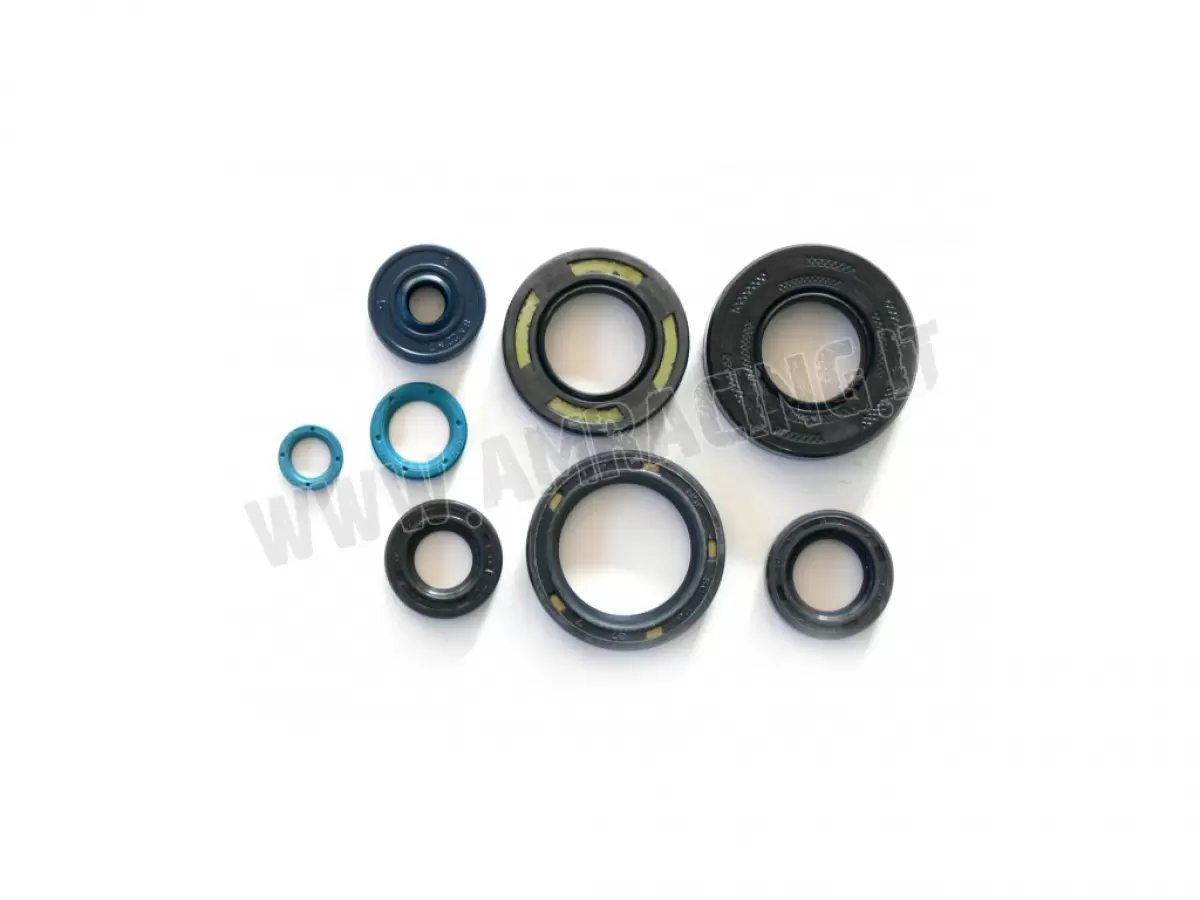 OIL SEALS KIT 125 EV M.2015