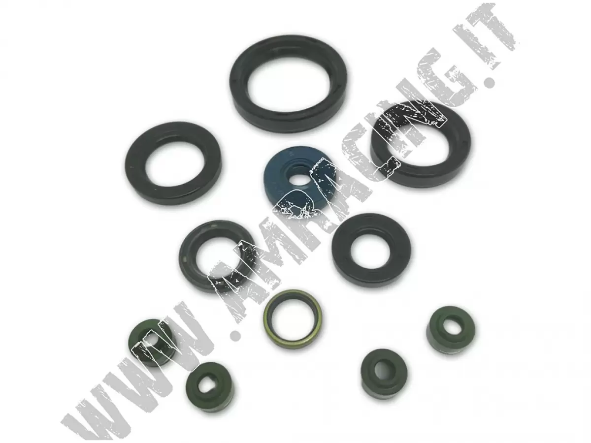 KIT PARAOLIO 450/530