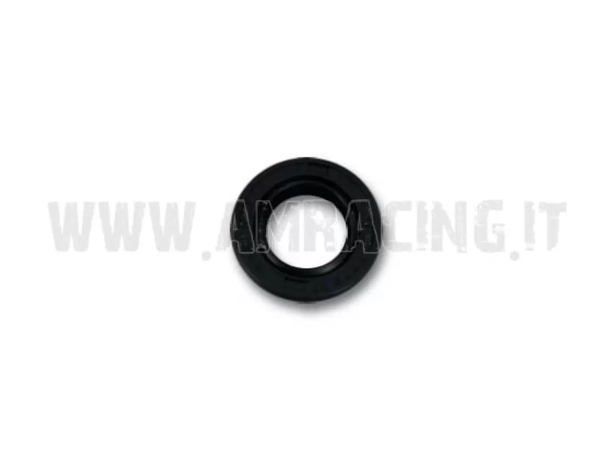 PARAOLIO LEVA CAMBIO 250/300 2T I 12x20x5 l.parapolv.