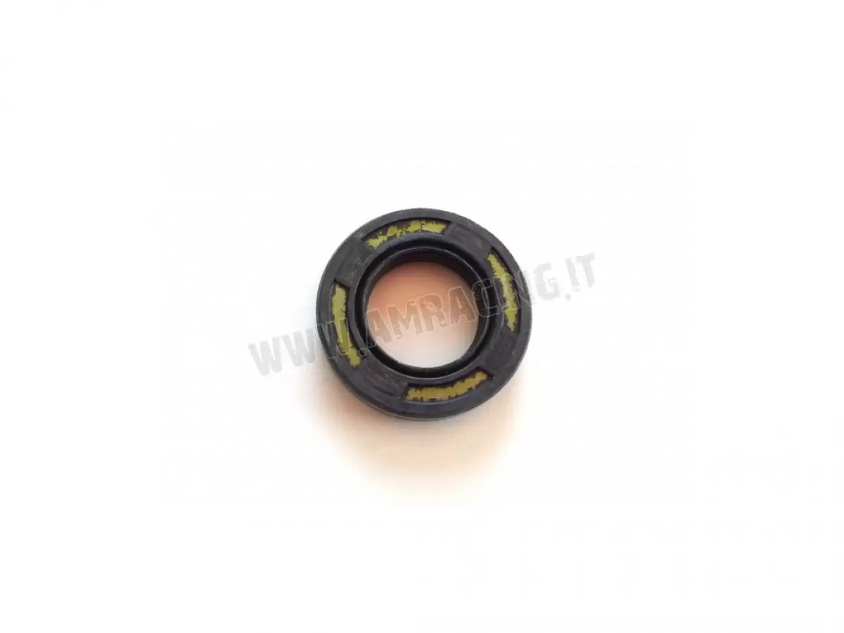PARAOLIO 22x33x7 PTFE