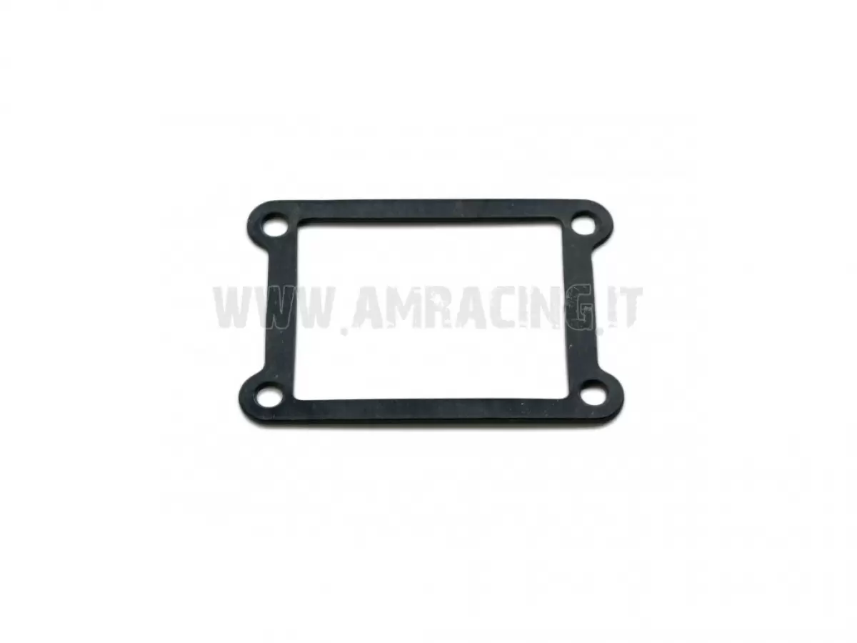 REED PACK GASKET 250