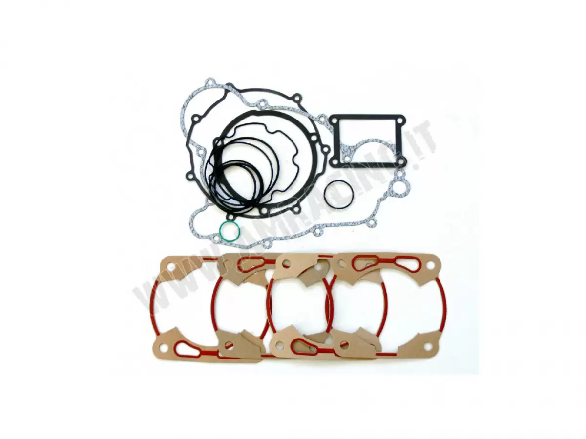 GASKET KIT + OR 300  2015