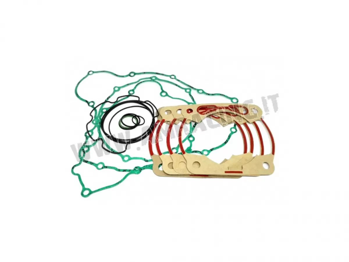 GASKET KIT + OR 300cc 2T ES MY 2020