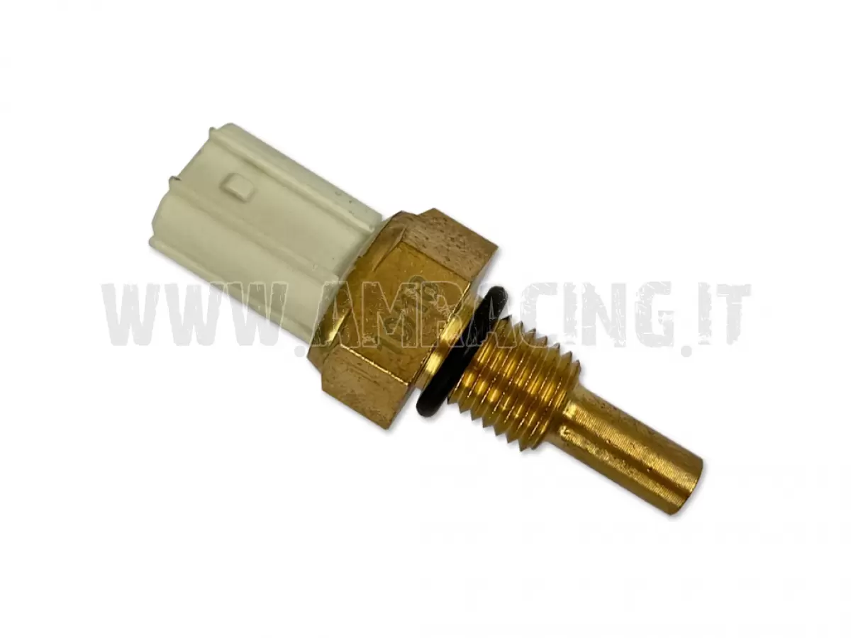 SENSORE TEMP. ACQUA TESTA 250/300 2T F.I. 19