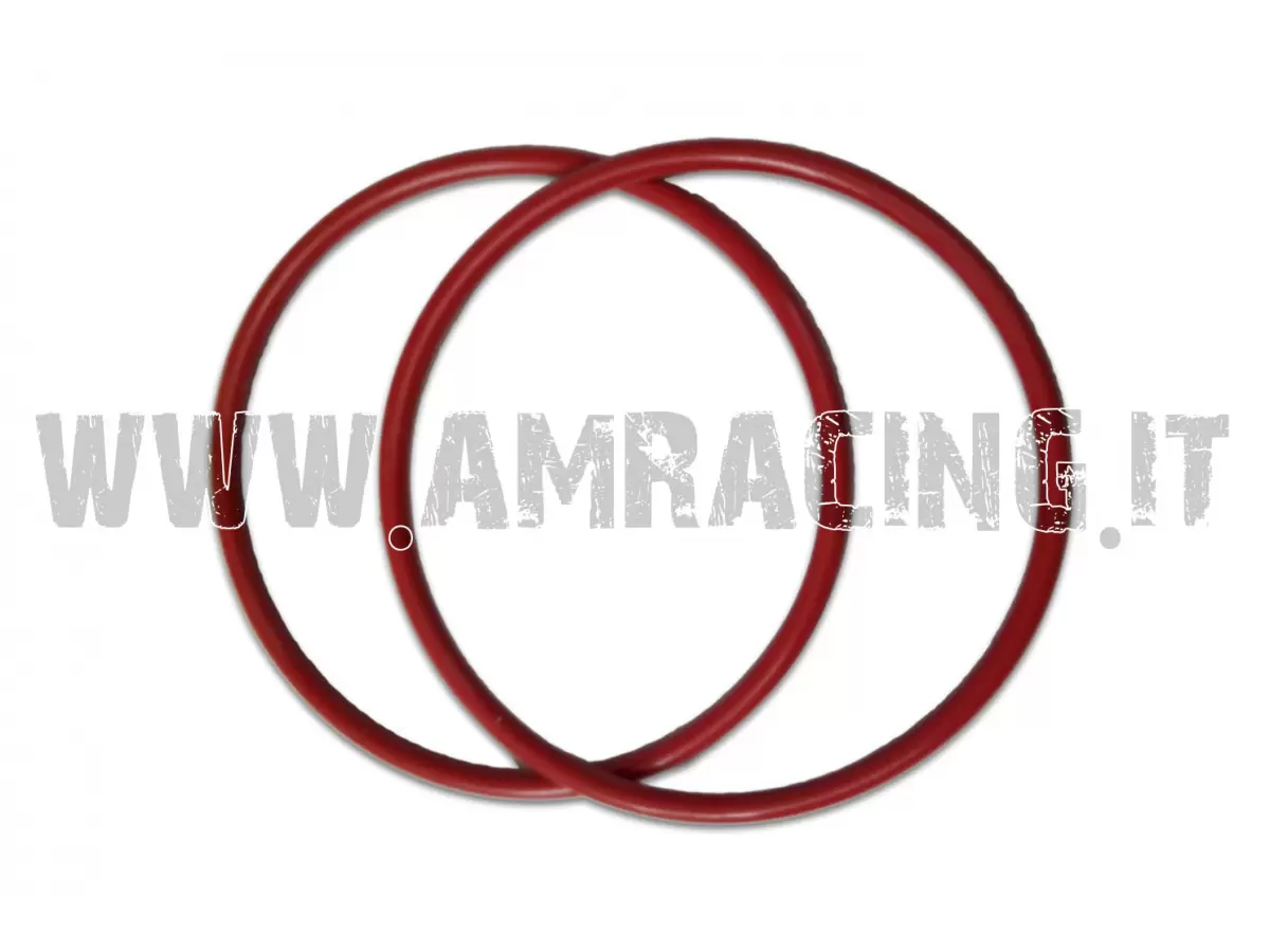 PAIR OF SILICONE O-RINGS FOR 250/300 EXHAUST SYSTEM – MAXIMUM RESISTANCE