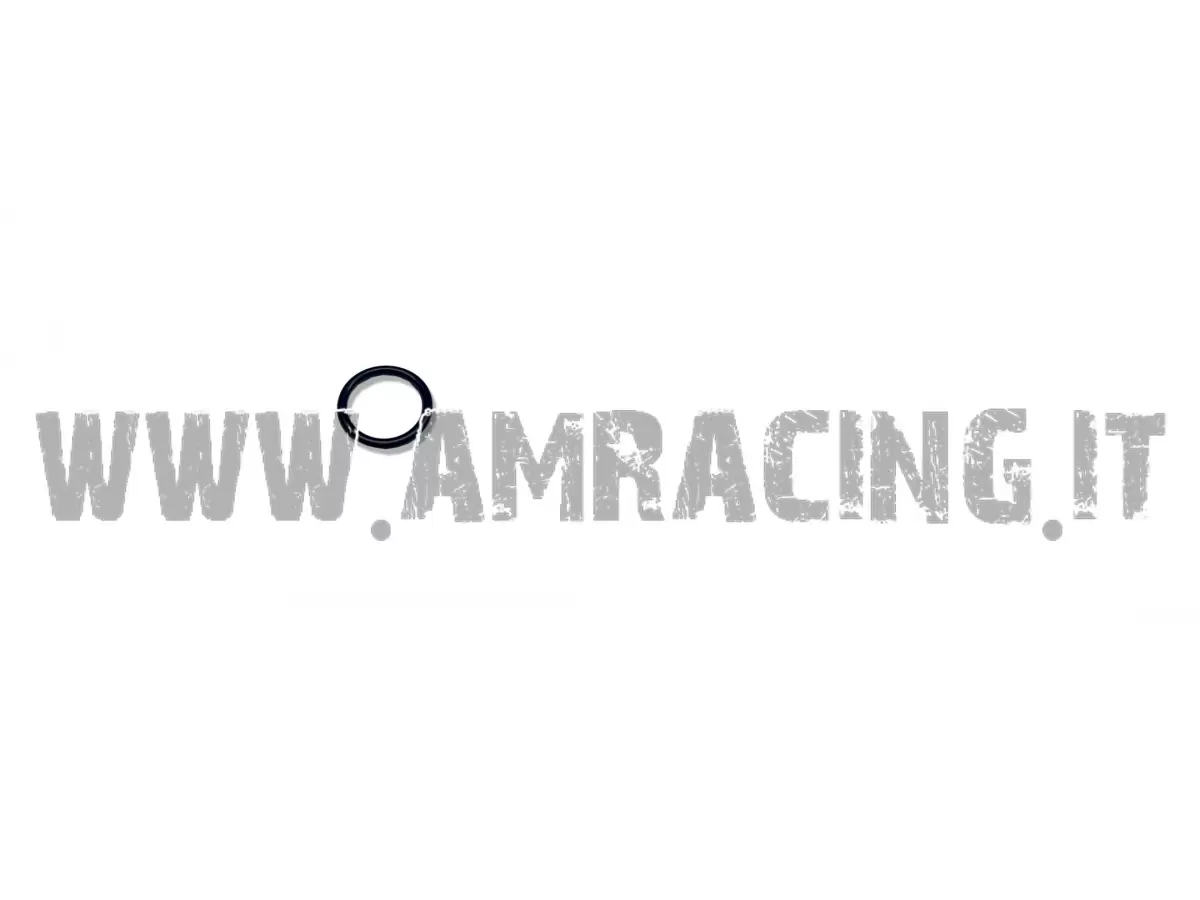 O RING TAPPO  SERB. OLIO 2T MY22