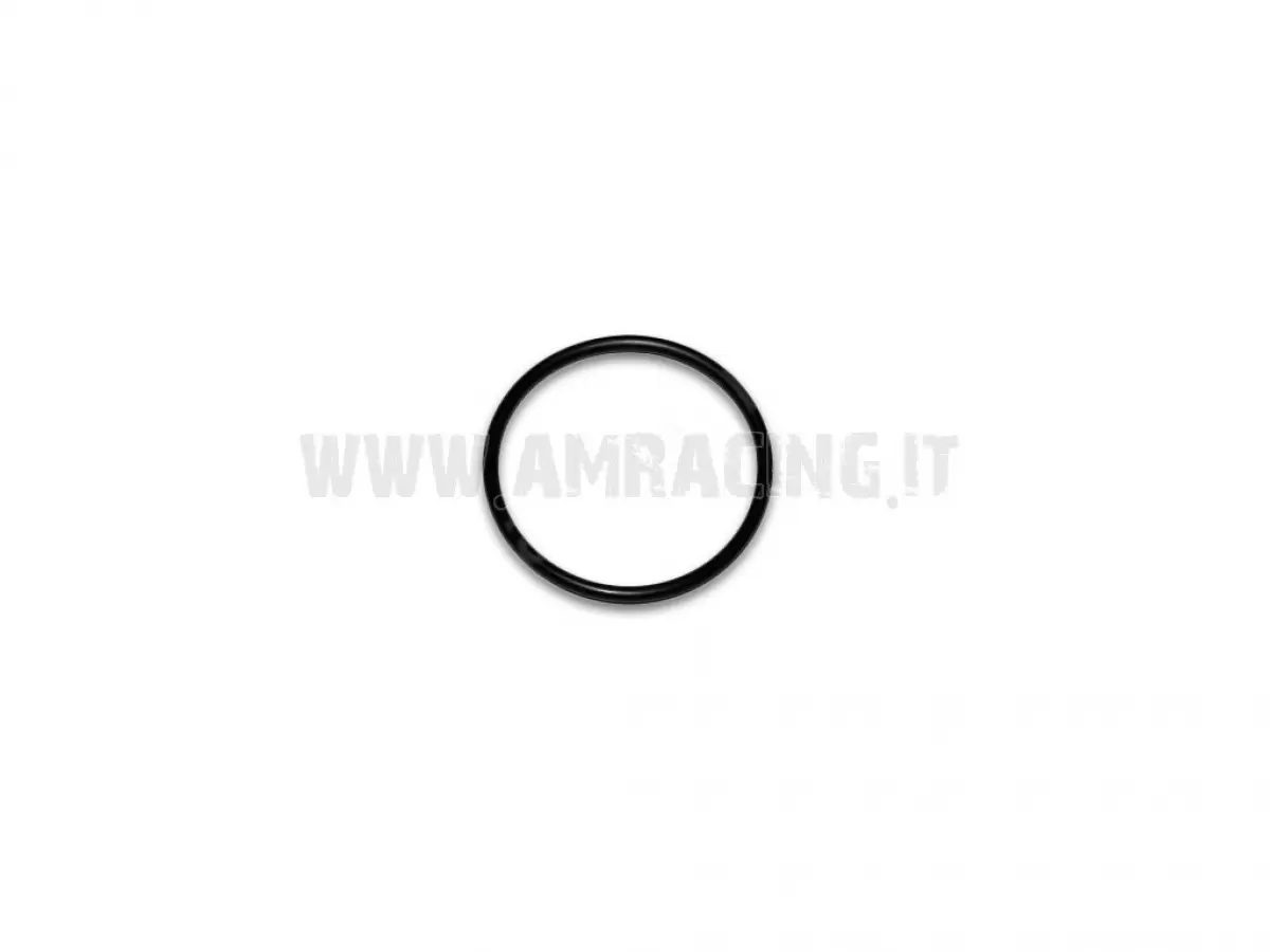 O RING COP. FILTRO OLIO
