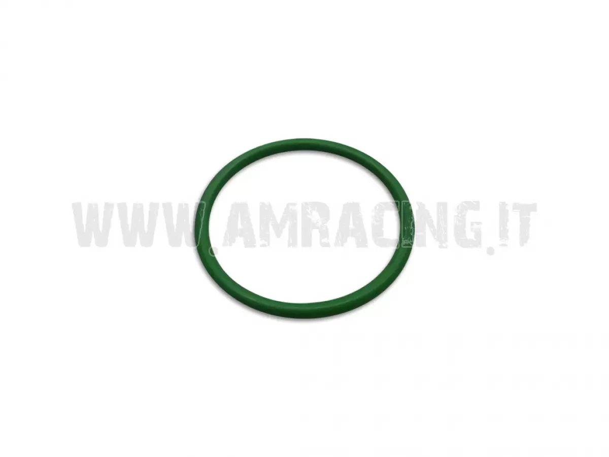 O RING PISTONE FRIZ. 250 VITO