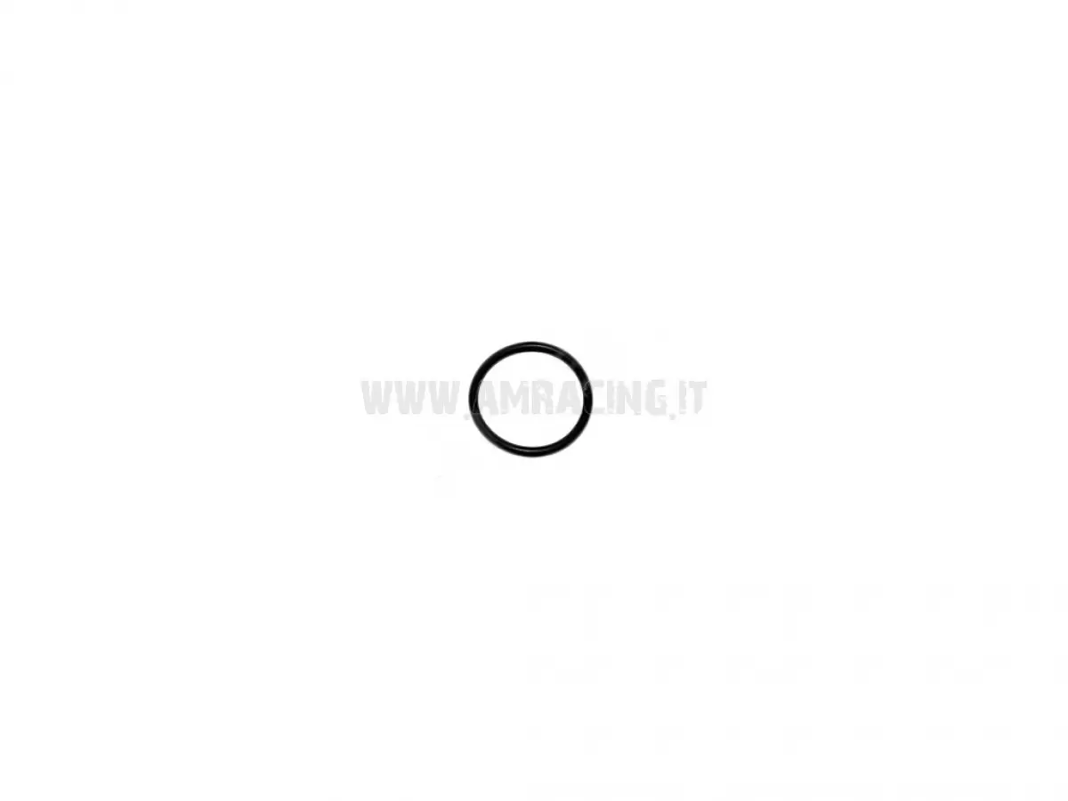 O RING PIGNONE CAT.+DIS.AL.MOT