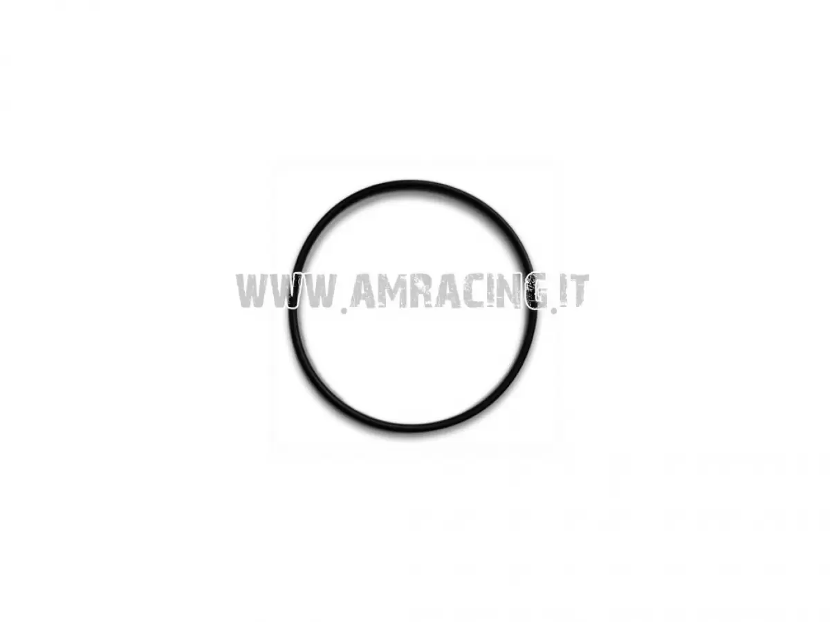 JUNTA TORICA DE COLECTOR DE ADMISIÓN TM 250/300