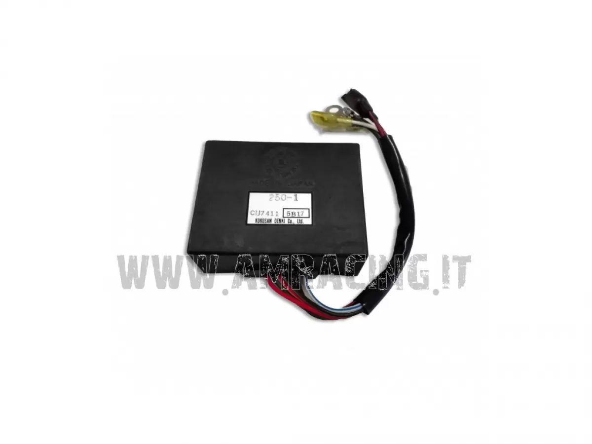 UNIDAD DE CONTROL DIGITAL KOKUSAN 250 300