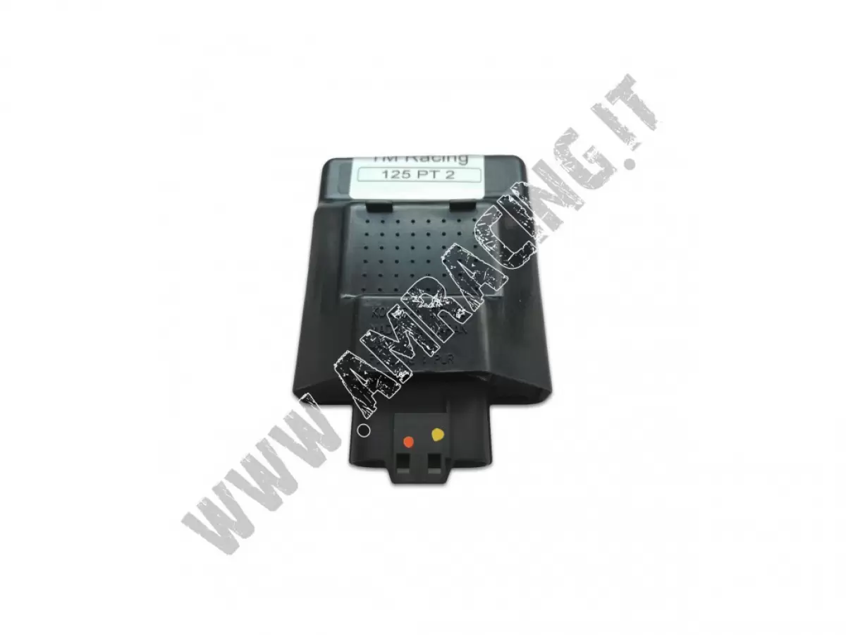 PROGRAMMABLE CONTROL UNIT SMR 125 PT2