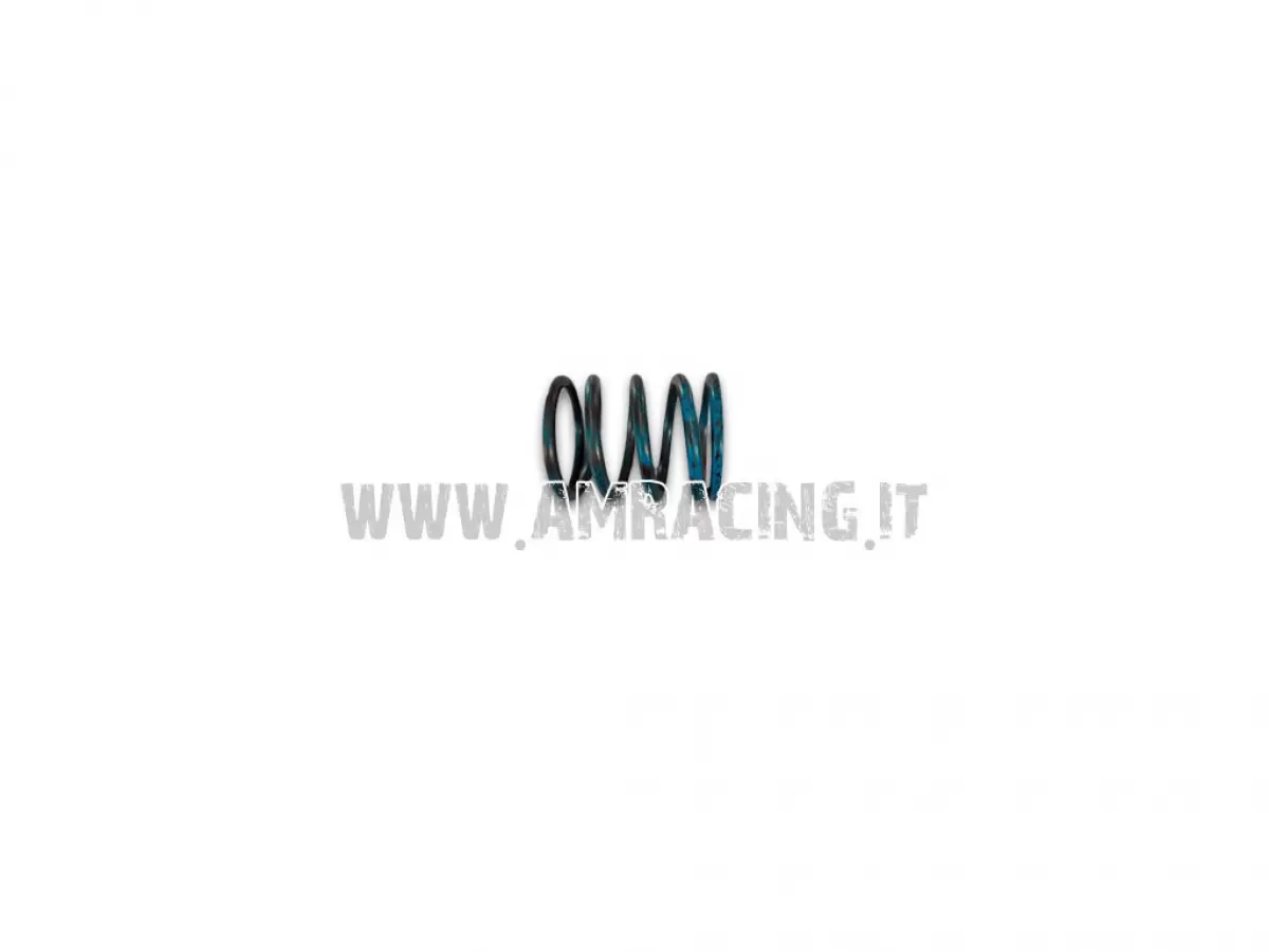 MOLLA CONTRASTO CENTRIF.300