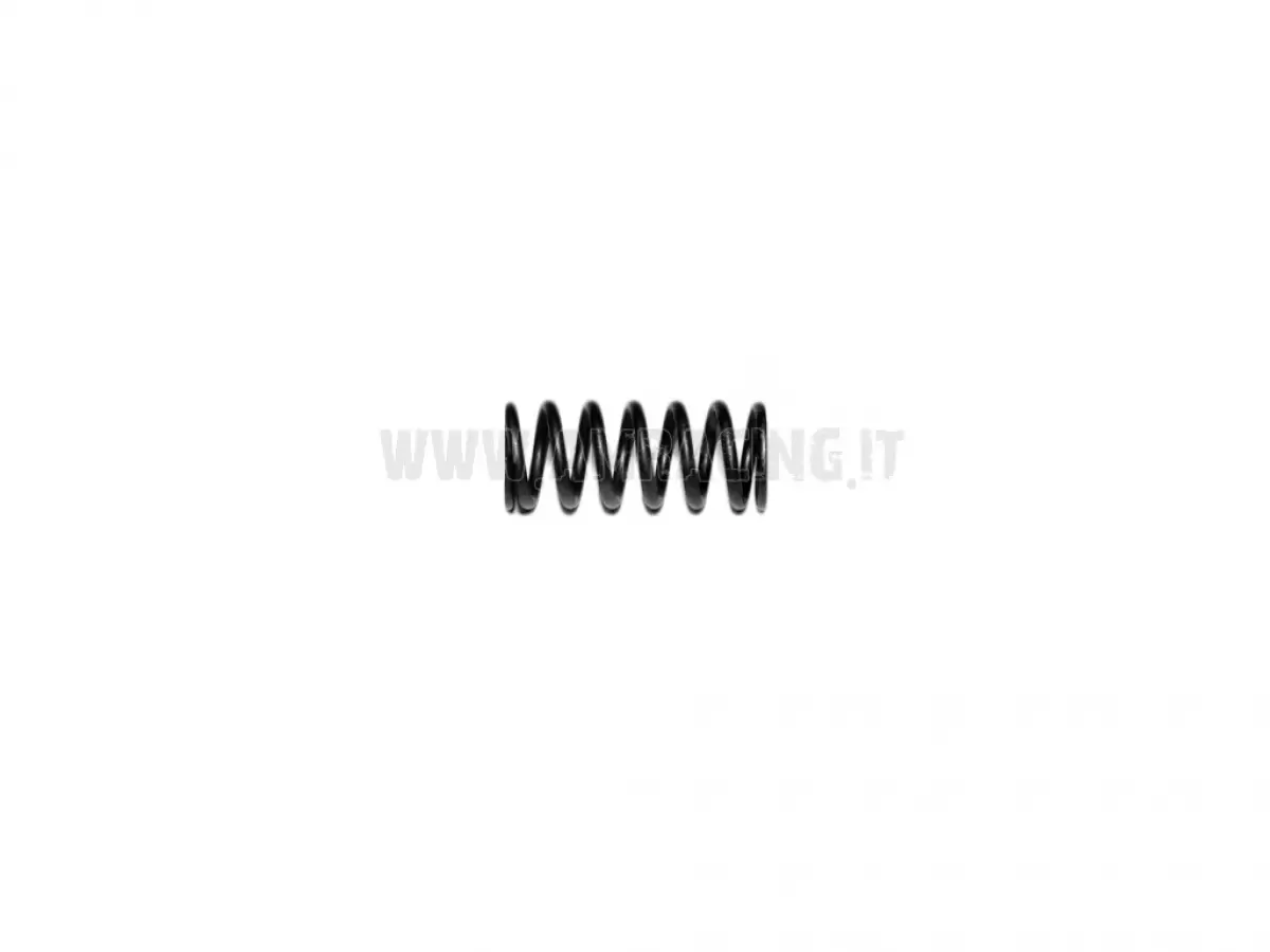 MOLLA FRIZIONE 250 e4T M.99/11
