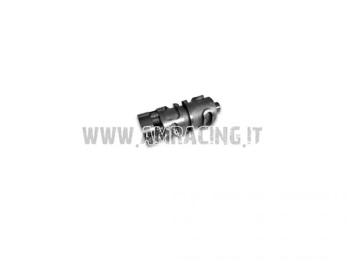 ALBERO DESMODROMICO 250