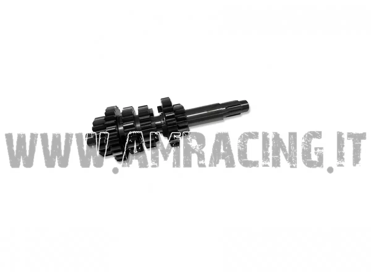 ALBERO PRIM. CPL 125 END/SMR