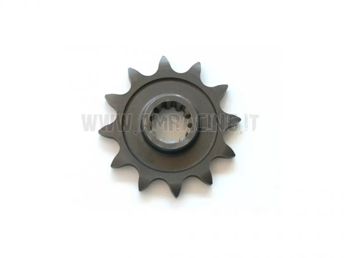 PIÑÓN DE CADENA Z 12 BR12 M.00/->