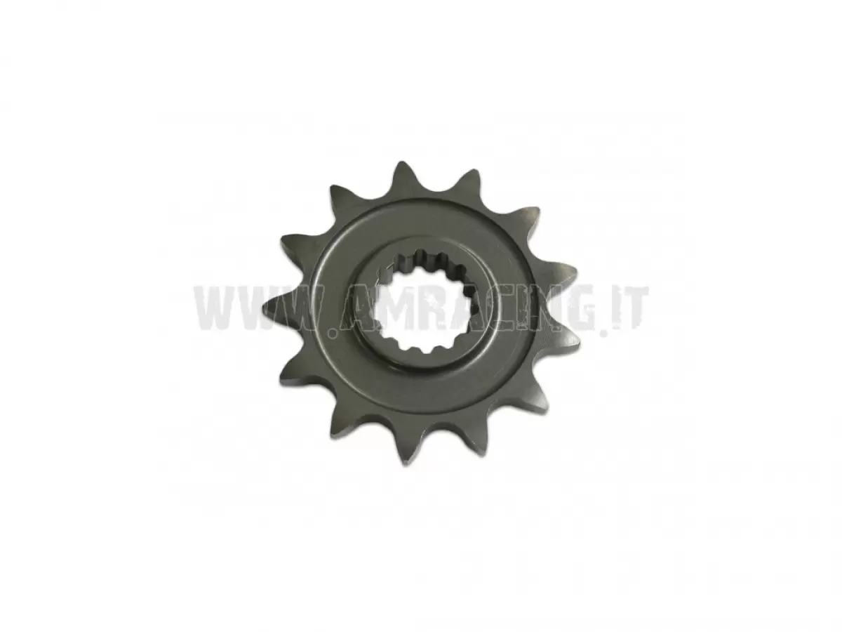 PIGNONE CATENA Z13 250/300