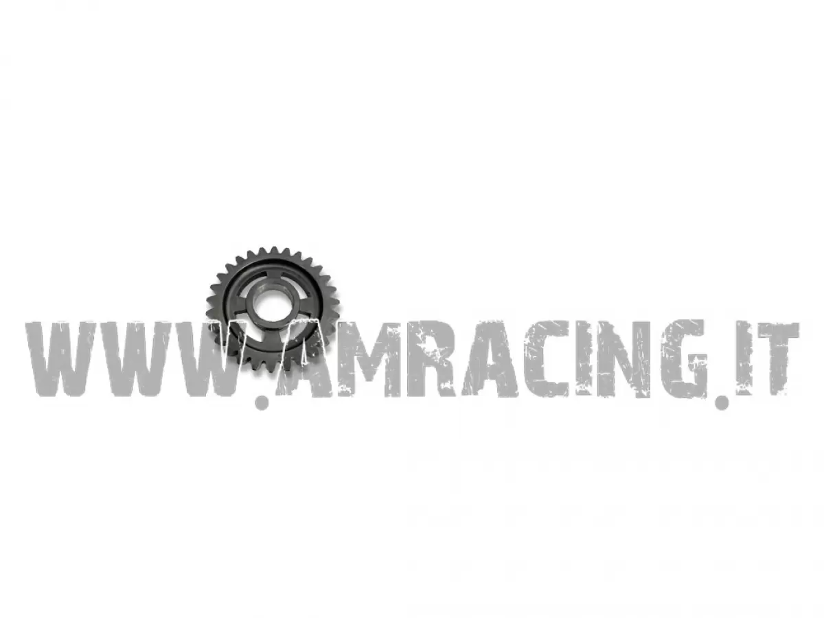 INGRAN A.S. 1a Z 28 250/ENDURO