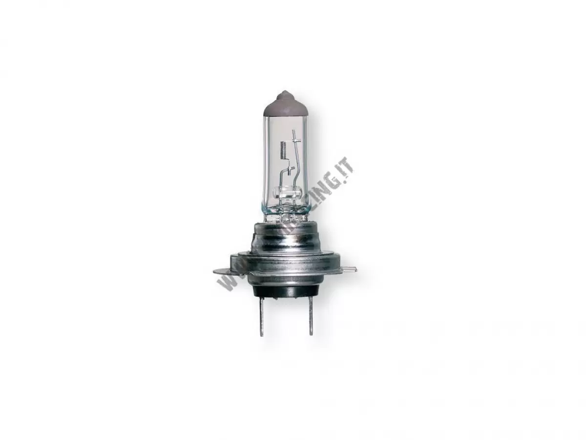 12V 55W H7 HALOGEN BULB
