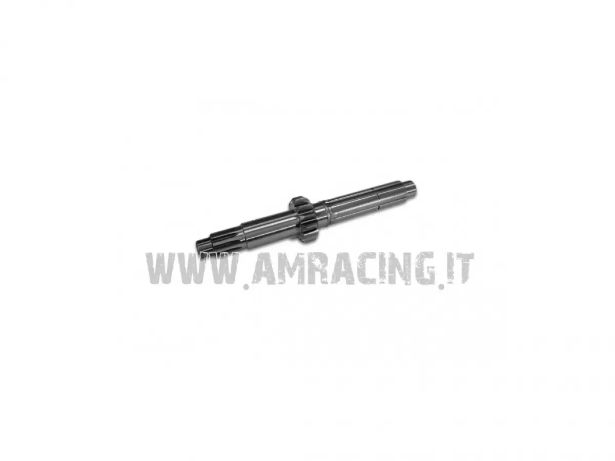 ALBERO PRIMARIO Z13 END.RINF