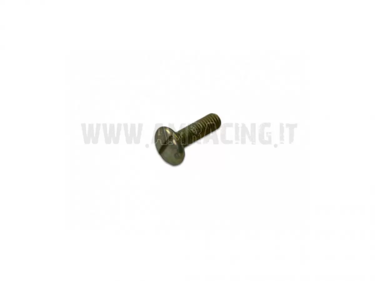 VITE TB LARGA 6X20-SUPPORTO PARAFANGO