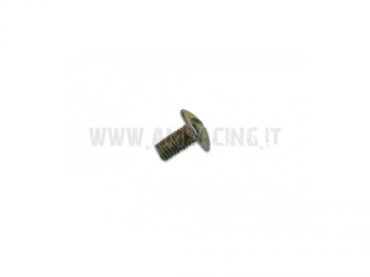 VITE TB LARGA 5X10 LATO SERBATOIO 94
