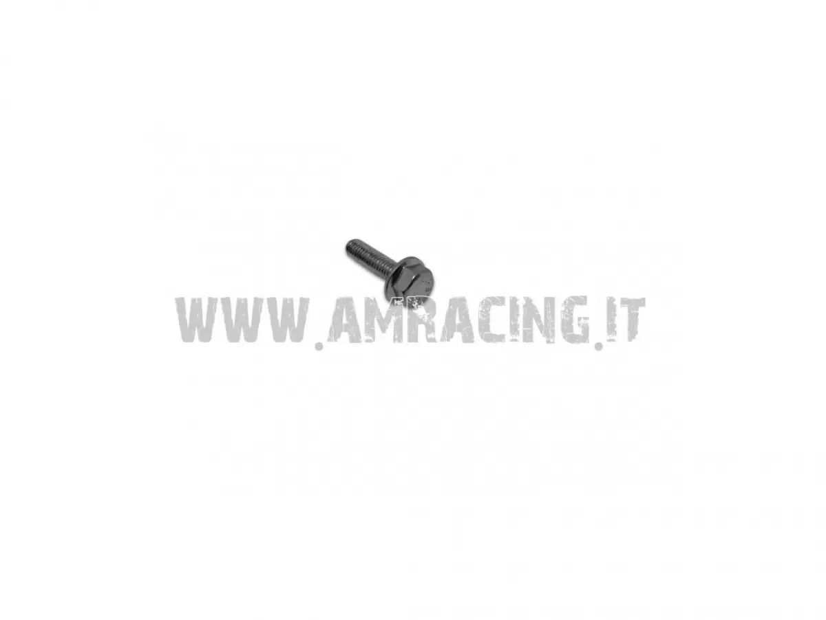 VITE TE/FLANG. 6X22-TAPPO FRIZIONE