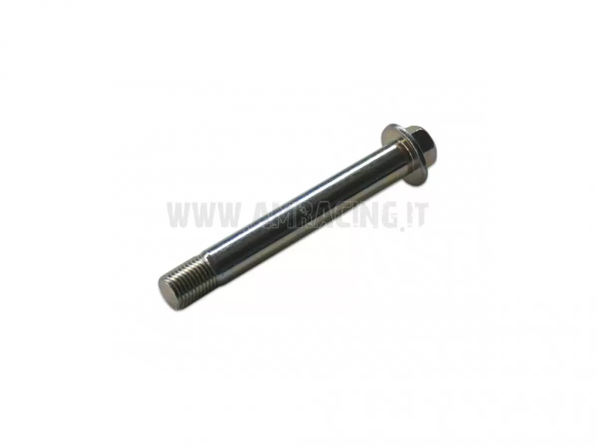 VITE TE F/R 12X90  1.25 Ch13