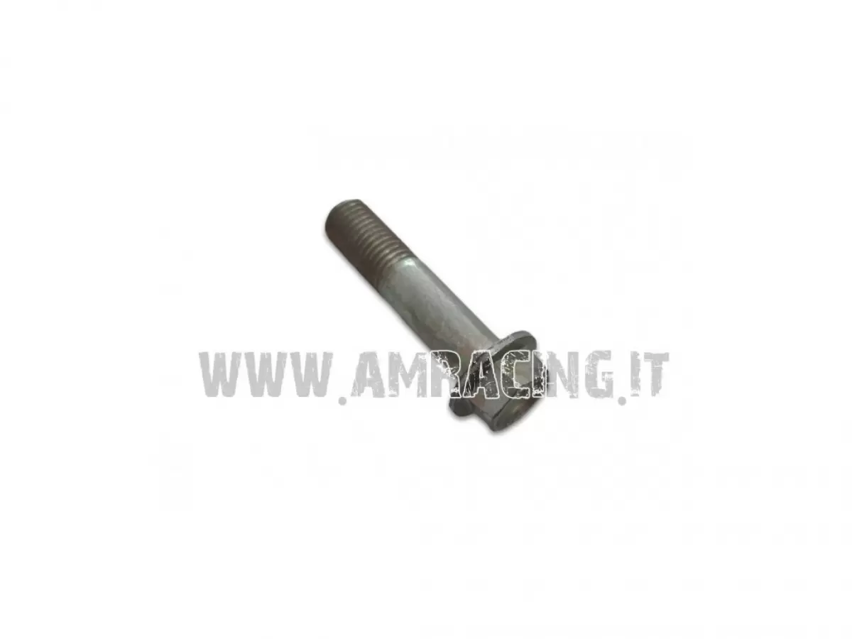 TORNILLO TE F/R 10X45 1.25 Ch.10