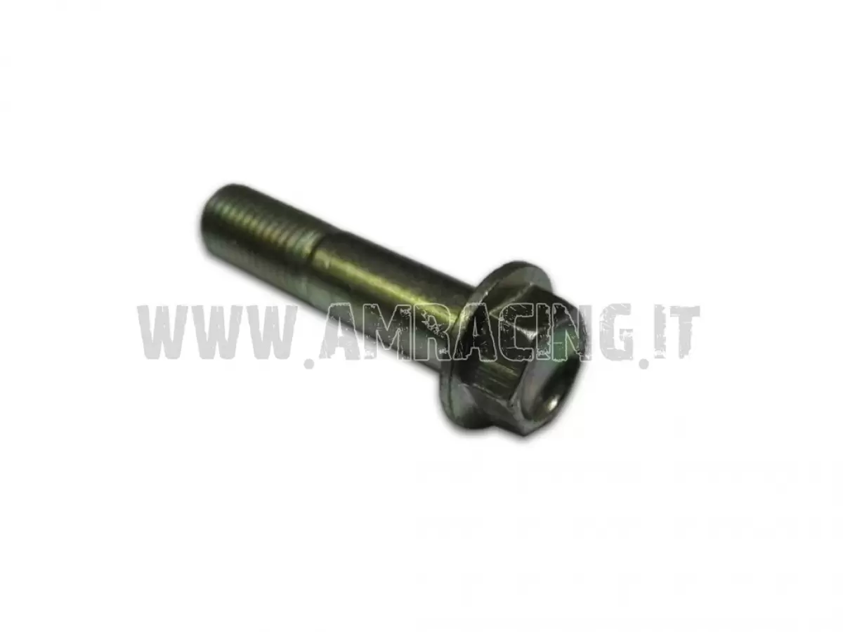 SCREW TE F/R 10X36 - 1.25 CH.10