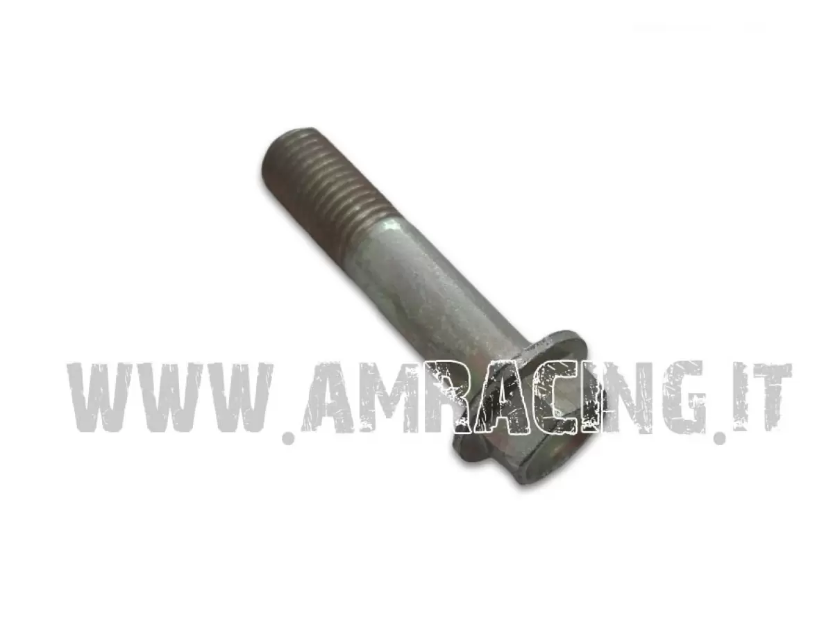 TORNILLO TE F/R 10X45 1.25 Ch.10