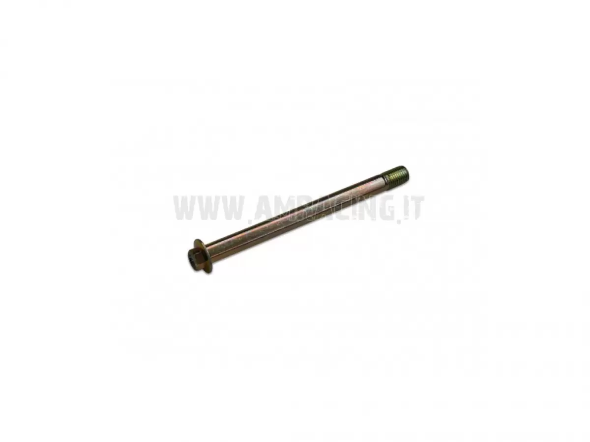 TORNILLO TE F/R 10X125 1.25  Ch.10
