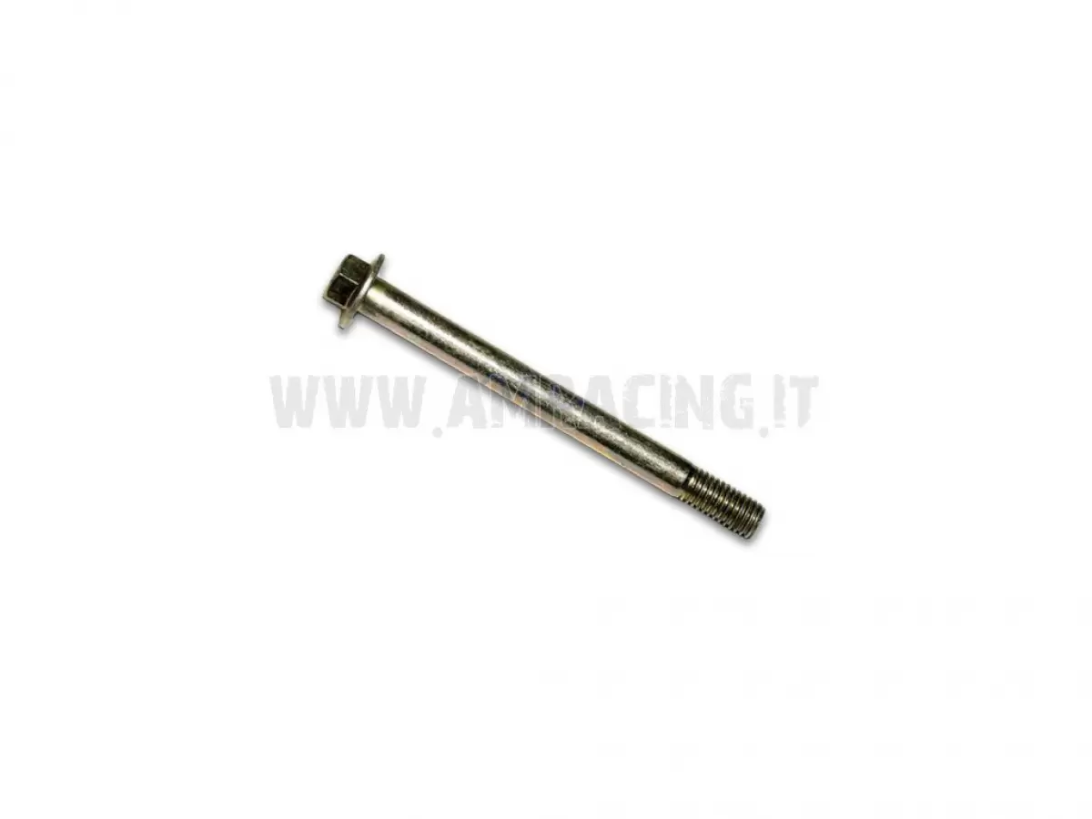 TORNILLO TE F/R 8X120 1.25  Ch.10