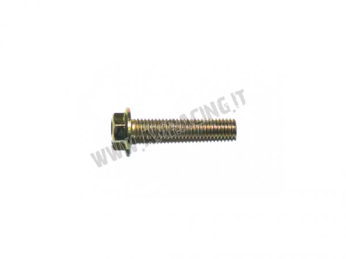 VITE TE F/R 6X30   Ch.8
