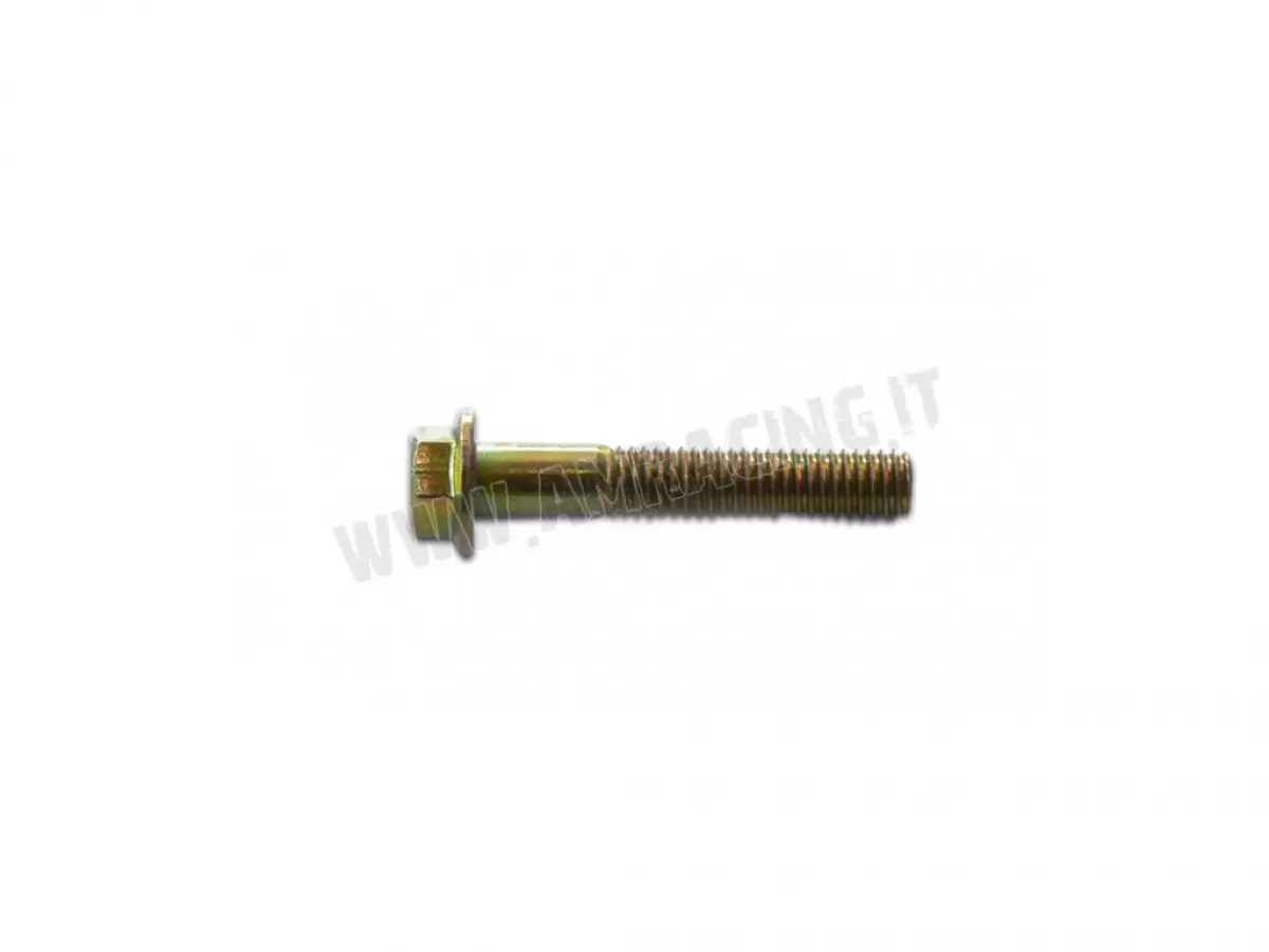 VITE TE F/R 6X35   Ch.8