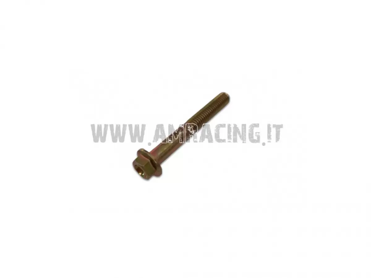 VITE TE F/R 6X45   Ch.8